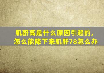 肌酐高是什么原因引起的,怎么能降下来肌肝78怎么办