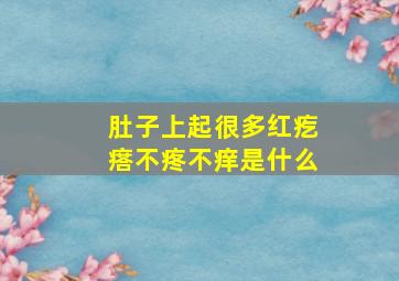 肚子上起很多红疙瘩不疼不痒是什么