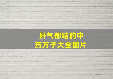 肝气郁结的中药方子大全图片