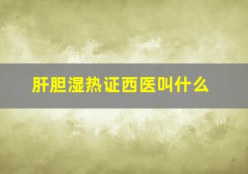 肝胆湿热证西医叫什么