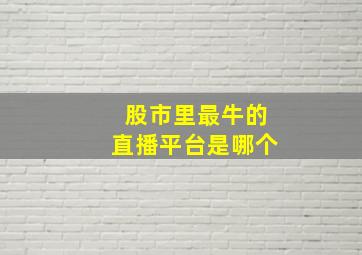 股市里最牛的直播平台是哪个