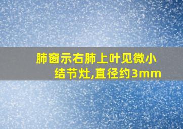 肺窗示右肺上叶见微小结节灶,直径约3mm