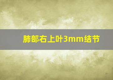 肺部右上叶3mm结节