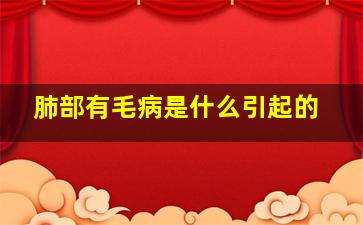 肺部有毛病是什么引起的