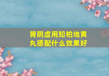 肾阴虚用知柏地黄丸搭配什么效果好