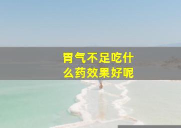 胃气不足吃什么药效果好呢