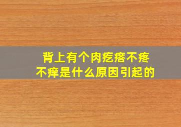 背上有个肉疙瘩不疼不痒是什么原因引起的