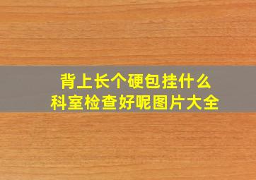 背上长个硬包挂什么科室检查好呢图片大全