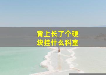 背上长了个硬块挂什么科室