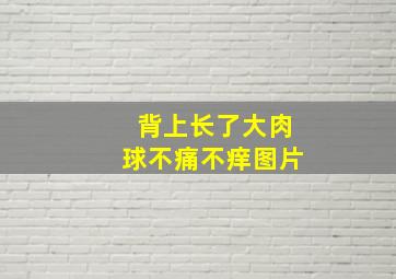 背上长了大肉球不痛不痒图片