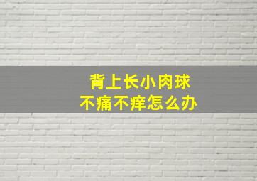 背上长小肉球不痛不痒怎么办