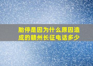 胎停是因为什么原因造成的赣州长征电话多少