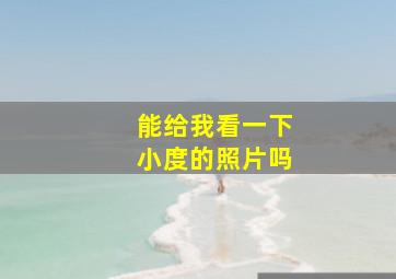 能给我看一下小度的照片吗