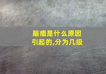 脑瘤是什么原因引起的,分为几级