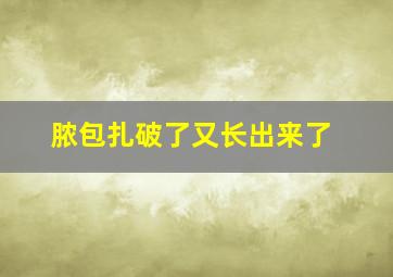 脓包扎破了又长出来了