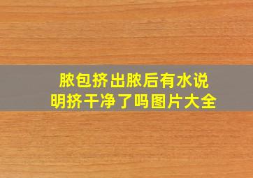 脓包挤出脓后有水说明挤干净了吗图片大全