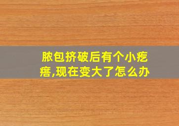 脓包挤破后有个小疙瘩,现在变大了怎么办