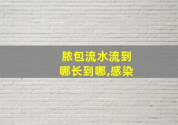 脓包流水流到哪长到哪,感染