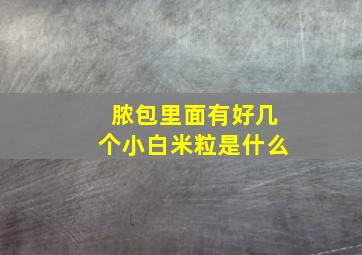 脓包里面有好几个小白米粒是什么