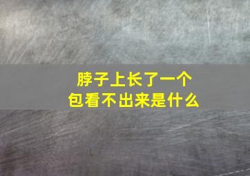 脖子上长了一个包看不出来是什么