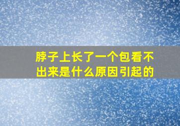 脖子上长了一个包看不出来是什么原因引起的