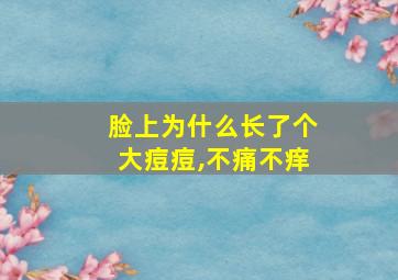 脸上为什么长了个大痘痘,不痛不痒