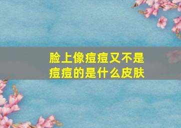 脸上像痘痘又不是痘痘的是什么皮肤