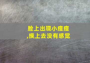 脸上出现小痘痘,摸上去没有感觉