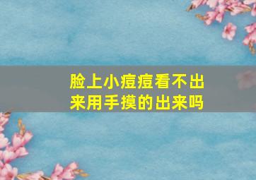 脸上小痘痘看不出来用手摸的出来吗