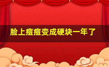 脸上痘痘变成硬块一年了