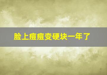 脸上痘痘变硬块一年了