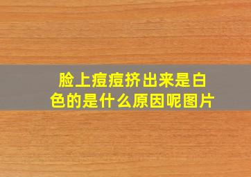 脸上痘痘挤出来是白色的是什么原因呢图片