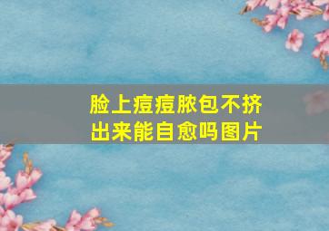 脸上痘痘脓包不挤出来能自愈吗图片