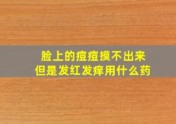 脸上的痘痘摸不出来但是发红发痒用什么药