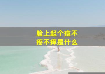 脸上起个痘不疼不痒是什么