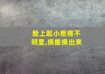 脸上起小疙瘩不明显,摸能摸出来