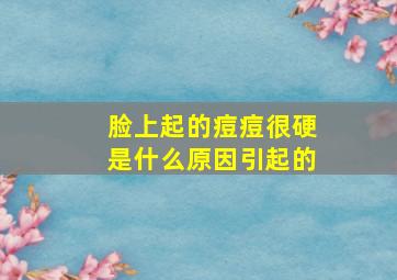 脸上起的痘痘很硬是什么原因引起的