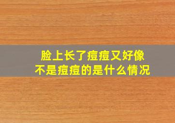 脸上长了痘痘又好像不是痘痘的是什么情况