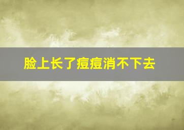 脸上长了痘痘消不下去