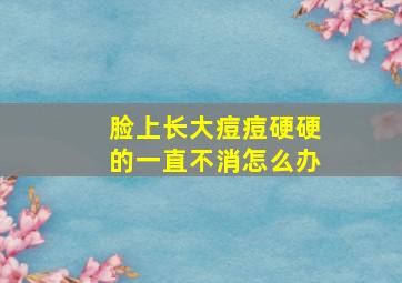 脸上长大痘痘硬硬的一直不消怎么办