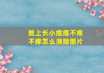 脸上长小痘痘不疼不痒怎么消除图片