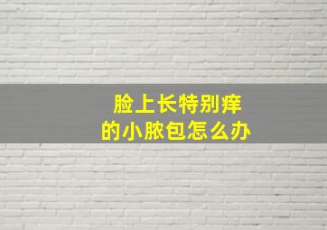 脸上长特别痒的小脓包怎么办