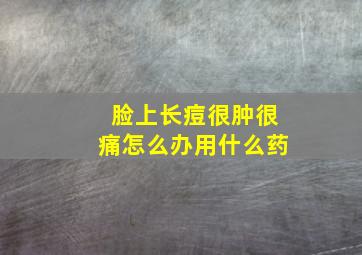 脸上长痘很肿很痛怎么办用什么药