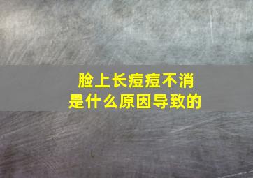 脸上长痘痘不消是什么原因导致的