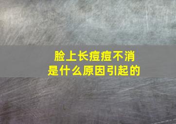 脸上长痘痘不消是什么原因引起的