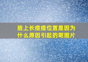 脸上长痘痘位置是因为什么原因引起的呢图片