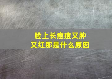 脸上长痘痘又肿又红那是什么原因