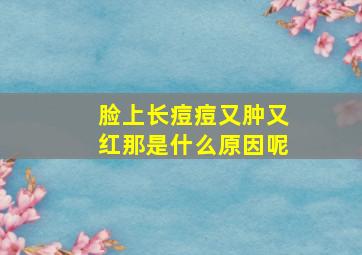 脸上长痘痘又肿又红那是什么原因呢