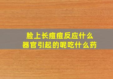 脸上长痘痘反应什么器官引起的呢吃什么药