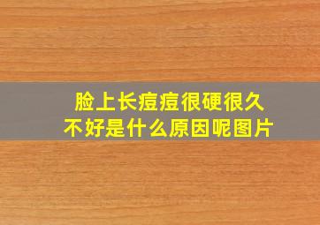 脸上长痘痘很硬很久不好是什么原因呢图片